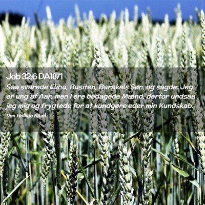 Picture 02 - Job 32:6 DA1871 - Saa svarede Elihu, Busiten, Barakels Søn, og - Bible Verse Picture
