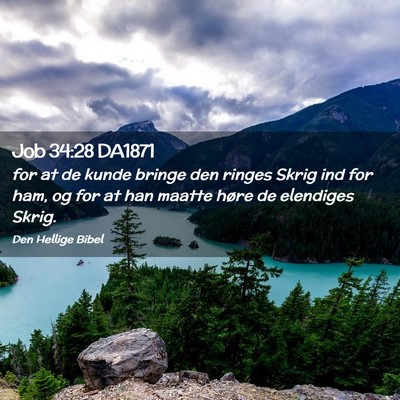 Picture 02 - Job 34:28 DA1871 - for at de kunde bringe den ringes Skrig ind for - Bible Verse Picture