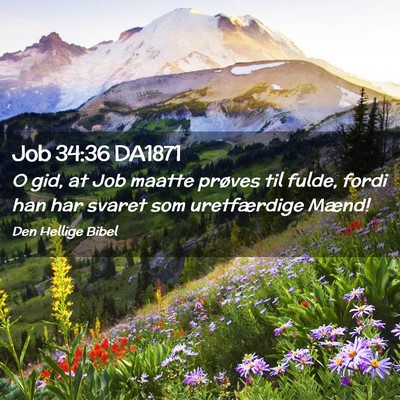 Picture 02 - Job 34:36 DA1871 - O gid, at Job maatte prøves til fulde, fordi han - Bible Verse Picture