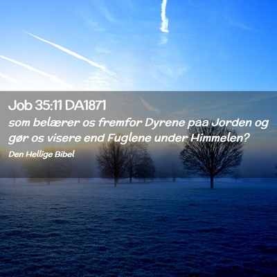 Picture 02 - Job 35:11 DA1871 - som belærer os fremfor Dyrene paa Jorden og gør - Bible Verse Picture
