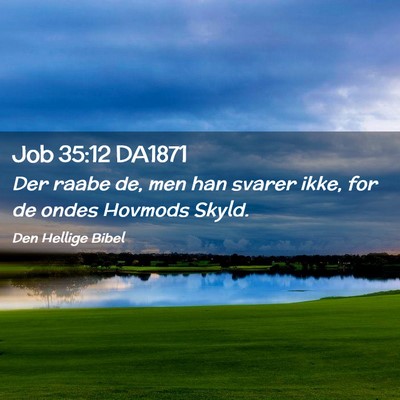 Picture 02 - Job 35:12 DA1871 - Der raabe de, men han svarer ikke, for de ondes - Bible Verse Picture