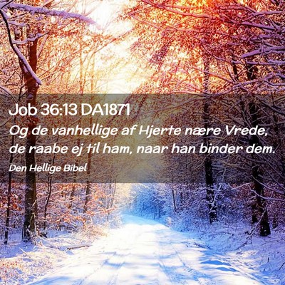 Picture 02 - Job 36:13 DA1871 - Og de vanhellige af Hjerte nære Vrede, de raabe - Bible Verse Picture