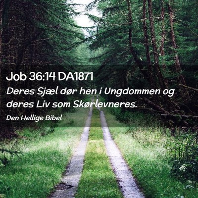 Picture 02 - Job 36:14 DA1871 - Deres Sjæl dør hen i Ungdommen og deres Liv som - Bible Verse Picture