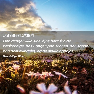 Picture 02 - Job 36:7 DA1871 - Han drager ikke sine Øjne bort fra de - Bible Verse Picture