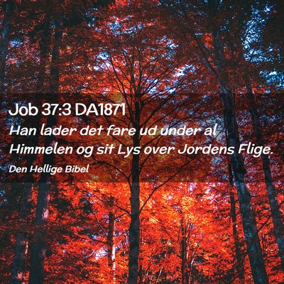 Picture 02 - Job 37:3 DA1871 - Han lader det fare ud under al Himmelen og sit - Bible Verse Picture