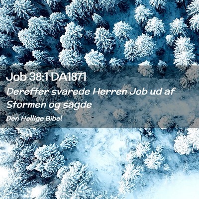 Picture 02 - Job 38:1 DA1871 - Derefter svarede Herren Job ud af Stormen og - Bible Verse Picture
