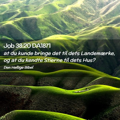 Picture 02 - Job 38:20 DA1871 - at du kunde bringe det til dets Landemærke, og - Bible Verse Picture