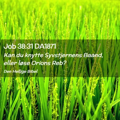 Picture 02 - Job 38:31 DA1871 - Kan du knytte Syvstjernens Baand, eller løse - Bible Verse Picture