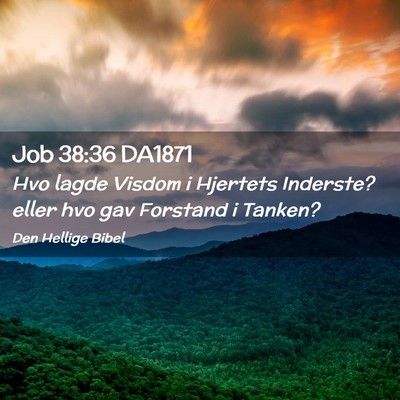 Picture 02 - Job 38:36 DA1871 - Hvo lagde Visdom i Hjertets Inderste? eller hvo - Bible Verse Picture