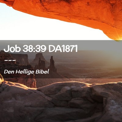 Picture 02 - Job 38:39 DA1871 -  - Bible Verse Picture