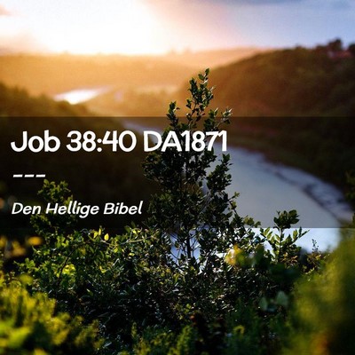 Picture 02 - Job 38:40 DA1871 -  - Bible Verse Picture