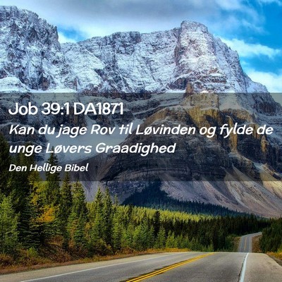 Picture 02 - Job 39:1 DA1871 - Kan du jage Rov til Løvinden og fylde de unge - Bible Verse Picture