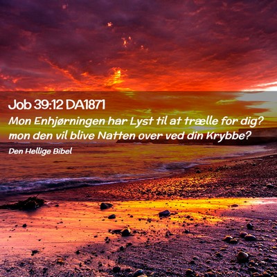 Picture 02 - Job 39:12 DA1871 - Mon Enhjørningen har Lyst til at trælle for - Bible Verse Picture