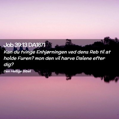 Picture 02 - Job 39:13 DA1871 - Kan du tvinge Enhjørningen ved dens Reb til at - Bible Verse Picture