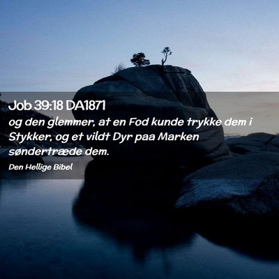 Picture 02 - Job 39:18 DA1871 - og den glemmer, at en Fod kunde trykke dem i - Bible Verse Picture