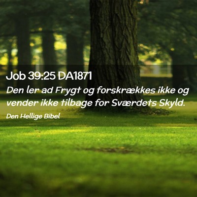 Picture 02 - Job 39:25 DA1871 - Den ler ad Frygt og forskrækkes ikke og vender - Bible Verse Picture