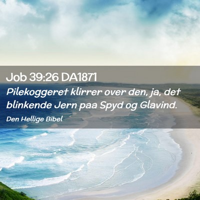 Picture 02 - Job 39:26 DA1871 - Pilekoggeret klirrer over den, ja, det blinkende - Bible Verse Picture