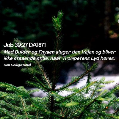 Picture 02 - Job 39:27 DA1871 - Med Bulder og Fnysen sluger den Vejen og bliver - Bible Verse Picture