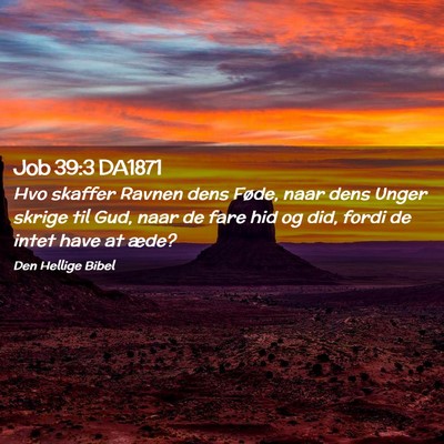 Picture 02 - Job 39:3 DA1871 - Hvo skaffer Ravnen dens Føde, naar dens Unger - Bible Verse Picture