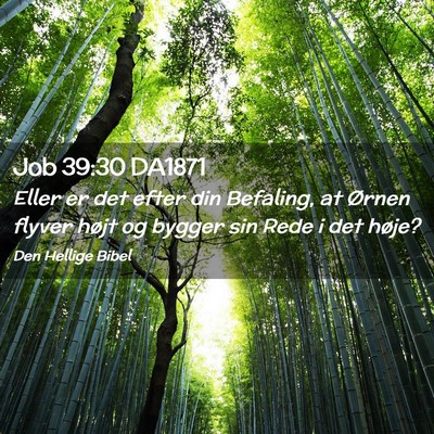 Picture 02 - Job 39:30 DA1871 - Eller er det efter din Befaling, at Ørnen flyver - Bible Verse Picture