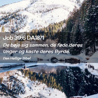 Picture 02 - Job 39:6 DA1871 - De bøje sig sammen, de føde deres Unger og - Bible Verse Picture