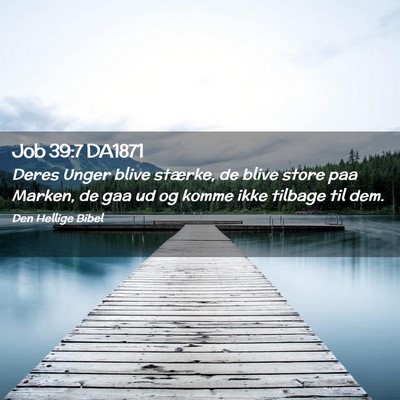 Picture 02 - Job 39:7 DA1871 - Deres Unger blive stærke, de blive store paa - Bible Verse Picture