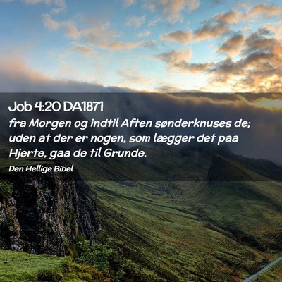 Picture 02 - Job 4:20 DA1871 - fra Morgen og indtil Aften sønderknuses de; uden - Bible Verse Picture