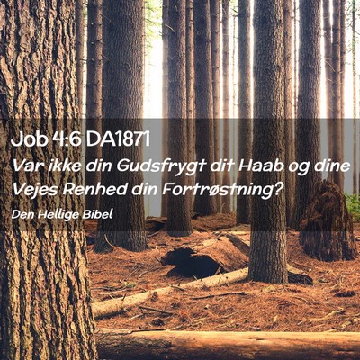 Picture 02 - Job 4:6 DA1871 - Var ikke din Gudsfrygt dit Haab og dine Vejes - Bible Verse Picture