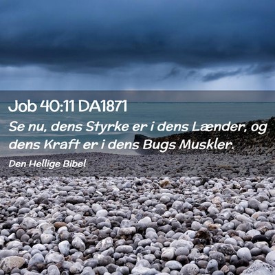 Picture 02 - Job 40:11 DA1871 - Se nu, dens Styrke er i dens Lænder, og dens - Bible Verse Picture