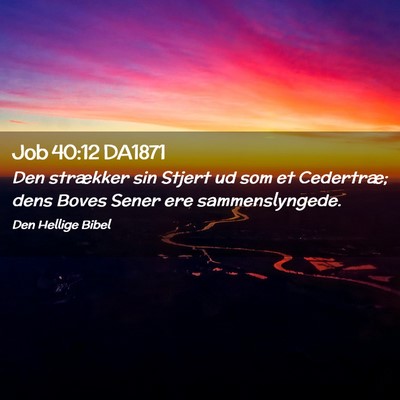 Picture 02 - Job 40:12 DA1871 - Den strækker sin Stjert ud som et Cedertræ; - Bible Verse Picture