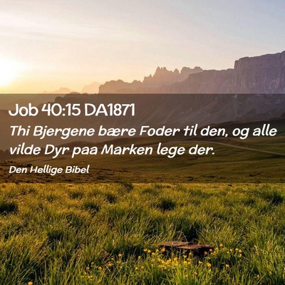 Picture 02 - Job 40:15 DA1871 - Thi Bjergene bære Foder til den, og alle vilde - Bible Verse Picture