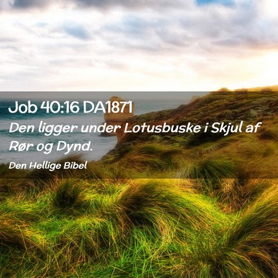 Picture 02 - Job 40:16 DA1871 - Den ligger under Lotusbuske i Skjul af Rør og - Bible Verse Picture