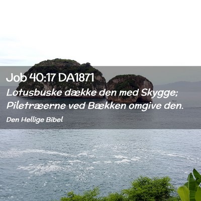 Picture 02 - Job 40:17 DA1871 - Lotusbuske dække den med Skygge; Piletræerne - Bible Verse Picture