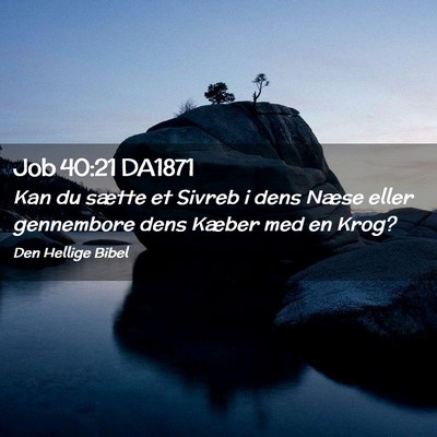 Picture 02 - Job 40:21 DA1871 - Kan du sætte et Sivreb i dens Næse eller - Bible Verse Picture