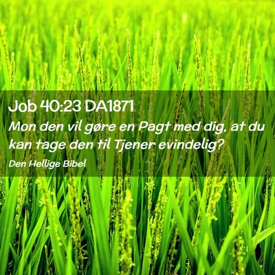 Picture 02 - Job 40:23 DA1871 - Mon den vil gøre en Pagt med dig, at du kan tage - Bible Verse Picture