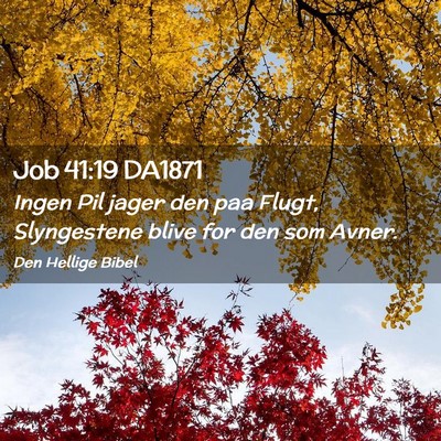 Picture 02 - Job 41:19 DA1871 - Ingen Pil jager den paa Flugt, Slyngestene blive - Bible Verse Picture