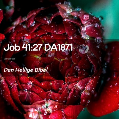 Picture 02 - Job 41:27 DA1871 -  - Bible Verse Picture
