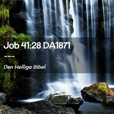 Picture 02 - Job 41:28 DA1871 -  - Bible Verse Picture
