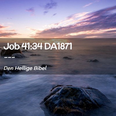 Picture 02 - Job 41:34 DA1871 -  - Bible Verse Picture