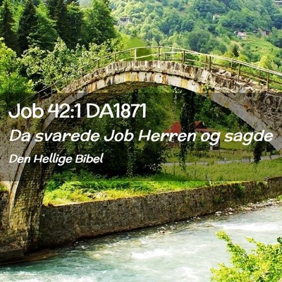 Picture 02 - Job 42:1 DA1871 - Da svarede Job Herren og - Bible Verse Picture