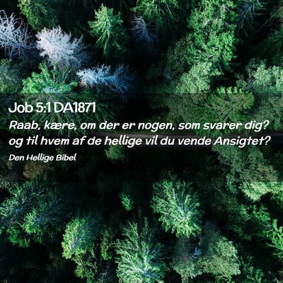 Picture 02 - Job 5:1 DA1871 - Raab, kære, om der er nogen, som svarer dig? og - Bible Verse Picture