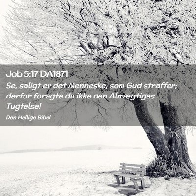 Picture 02 - Job 5:17 DA1871 - Se, saligt er det Menneske, som Gud straffer; - Bible Verse Picture