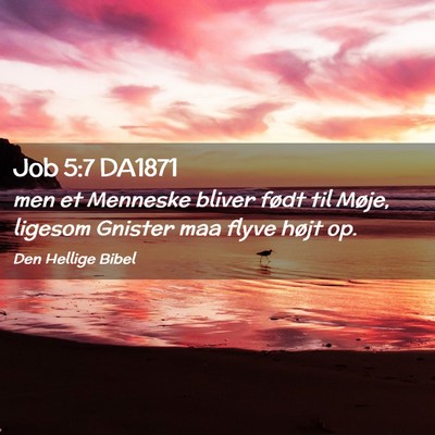 Picture 02 - Job 5:7 DA1871 - men et Menneske bliver født til Møje, ligesom - Bible Verse Picture