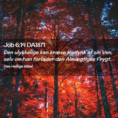 Picture 02 - Job 6:14 DA1871 - Den ulykkelige kan kræve Medynk af sin Ven, selv - Bible Verse Picture