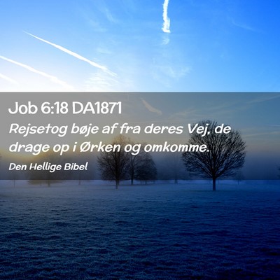 Picture 02 - Job 6:18 DA1871 - Rejsetog bøje af fra deres Vej, de drage op i - Bible Verse Picture