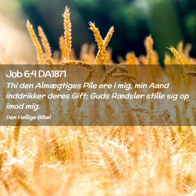 Picture 02 - Job 6:4 DA1871 - Thi den Almægtiges Pile ere i mig, min Aand - Bible Verse Picture