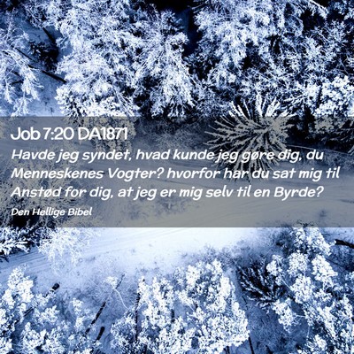 Picture 02 - Job 7:20 DA1871 - Havde jeg syndet, hvad kunde jeg gøre dig, du - Bible Verse Picture