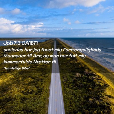 Picture 02 - Job 7:3 DA1871 - saaledes har jeg faaet mig Forfængeligheds - Bible Verse Picture