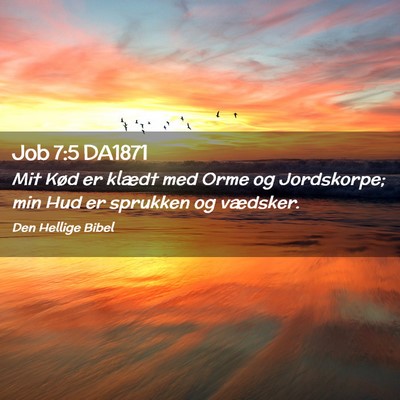 Picture 02 - Job 7:5 DA1871 - Mit Kød er klædt med Orme og Jordskorpe; min - Bible Verse Picture
