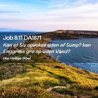 Picture 02 - Job 8:11 DA1871 - Kan et Siv opvokse uden af Sump? kan Enggræs gro - Bible Verse Picture